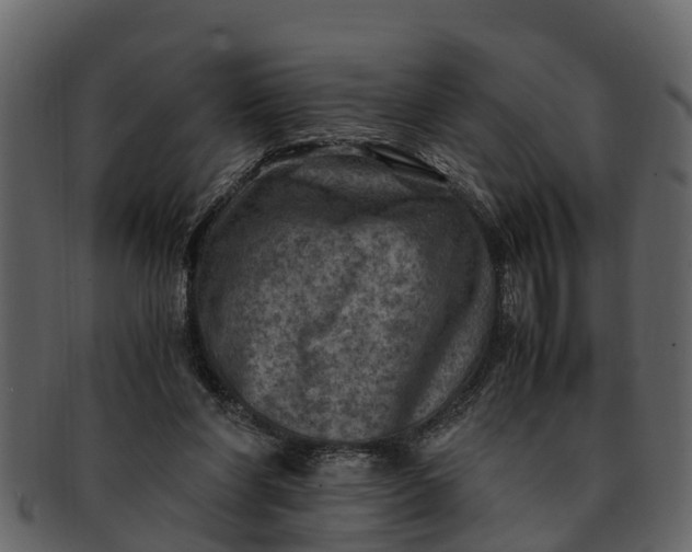 X0000093100206200710171208
