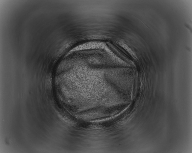X0000093100207200710171208