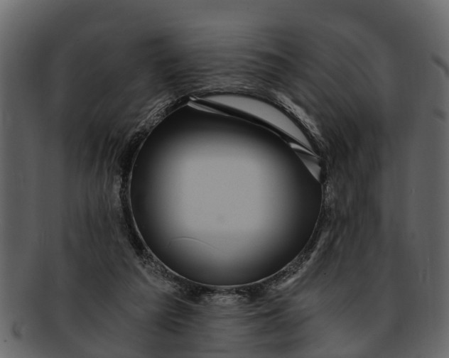 X0000093100209200710171208