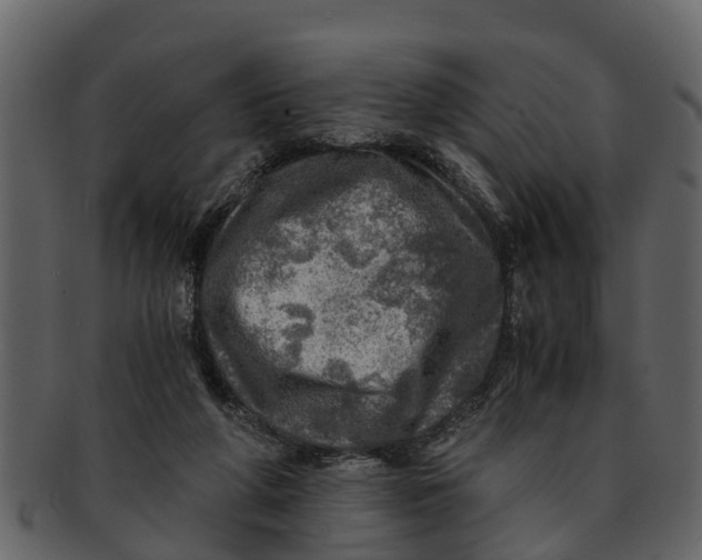 X0000093100210200710171208