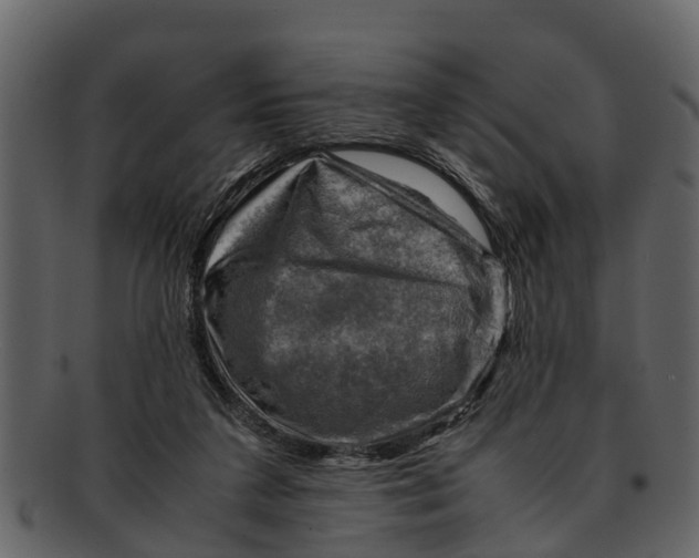 X0000093100211200710171208