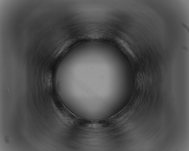 X0000093100212200710171208