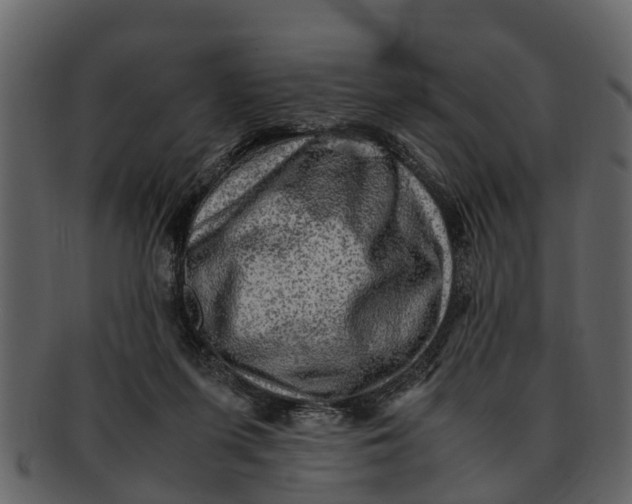 X0000093100215200710171208