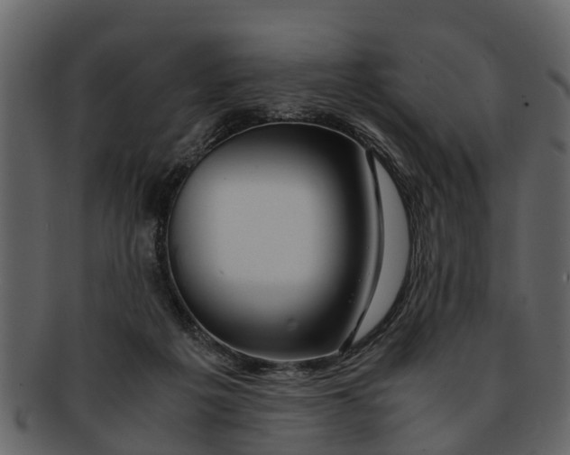 X0000093100217200710171208