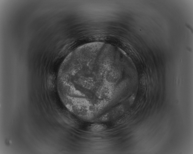 X0000093100218200710171208