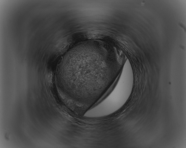 X0000093100219200710171208