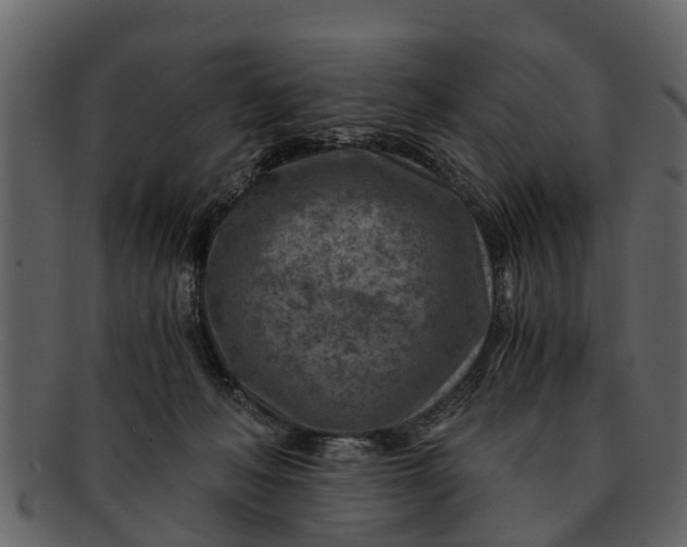 X0000093100222200710171208
