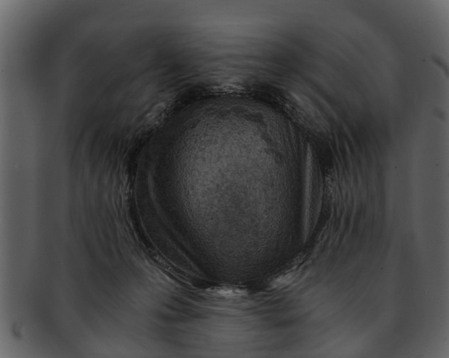 X0000093100223200710171208