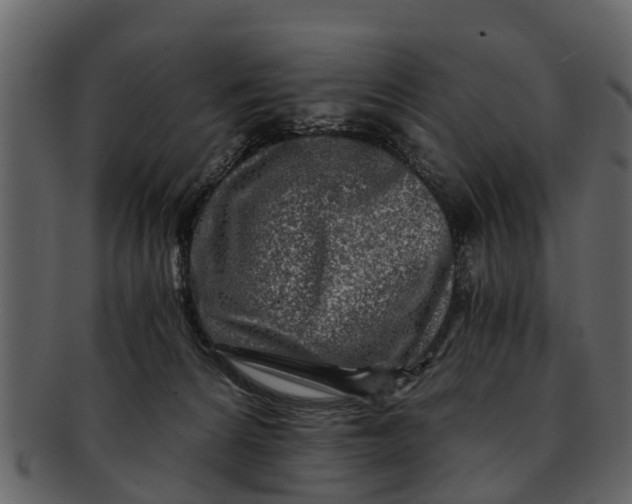 X0000093100224200710171208