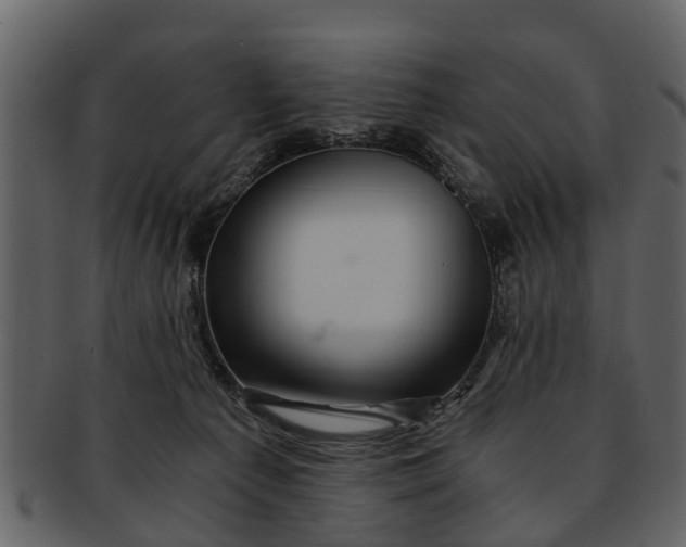 X0000093100225200710171208