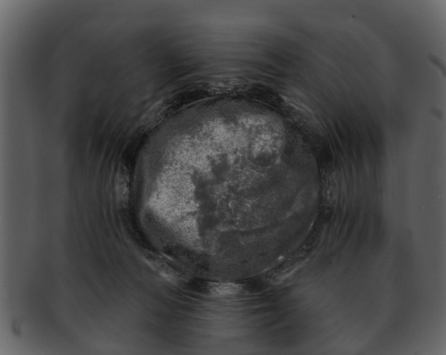 X0000093100226200710171208