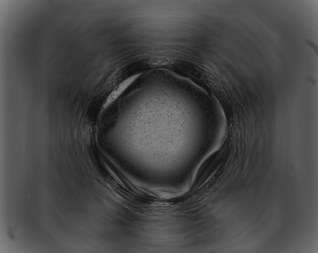 X0000093100227200710171208