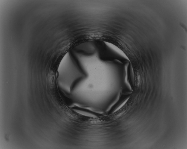 X0000093100228200710171208