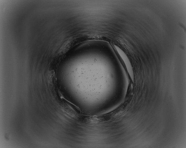 X0000093100229200710171208