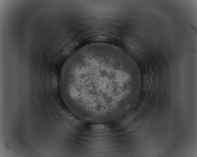X0000093100230200710171208