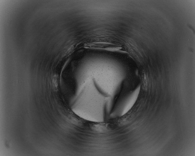 X0000093100232200710171208