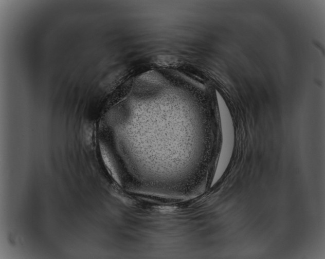 X0000093100233200710171208