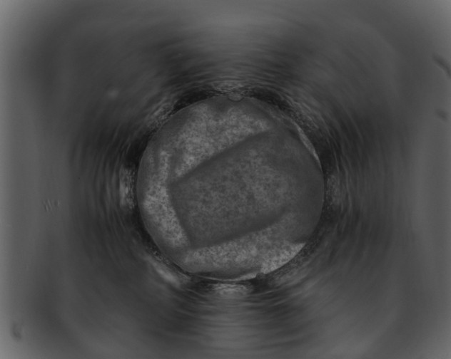 X0000093100234200710171208