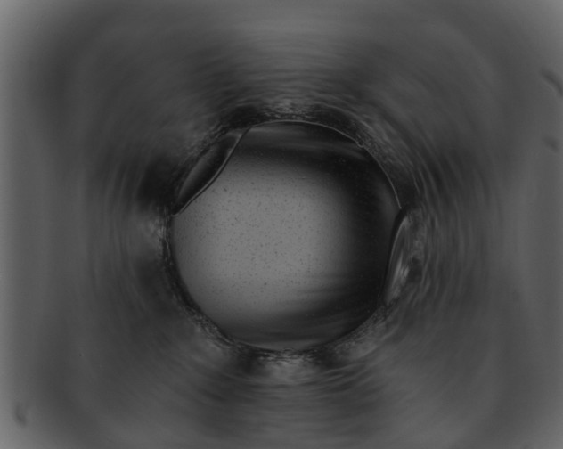X0000093100235200710171208