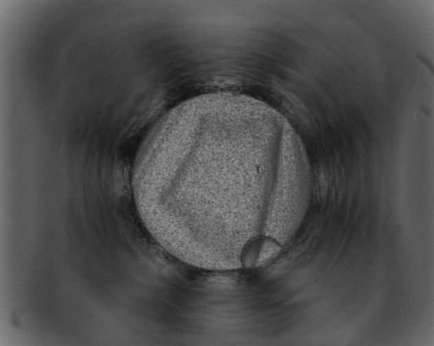X0000093100236200710171208
