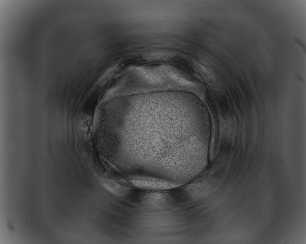 X0000093100237200710171208