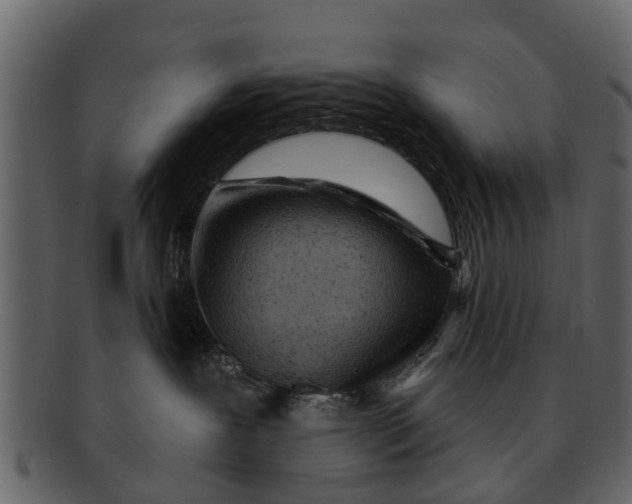 X0000093100239200710171208