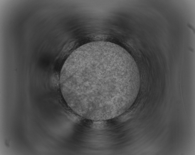 X0000093100240200710171208