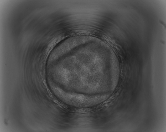 X0000093100241200710171207