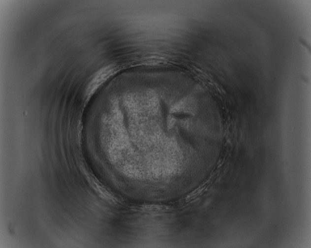 X0000093100242200710171207