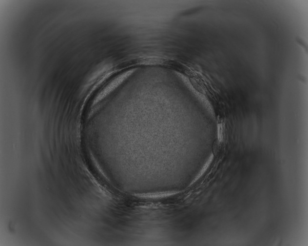 X0000093100243200710171207