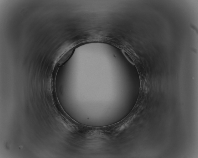 X0000093100244200710171207