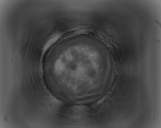X0000093100245200710171207