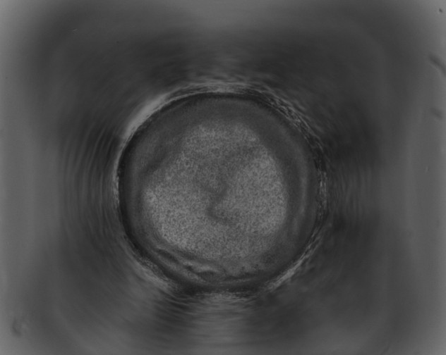 X0000093100246200710171207