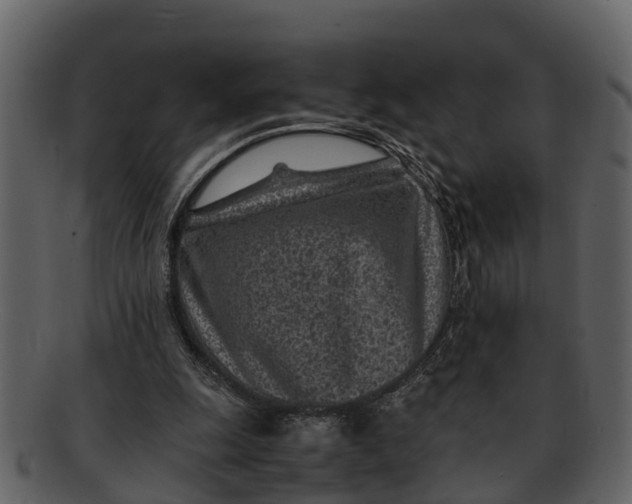 X0000093100247200710171207