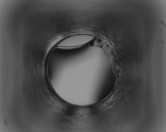 X0000093100248200710171207