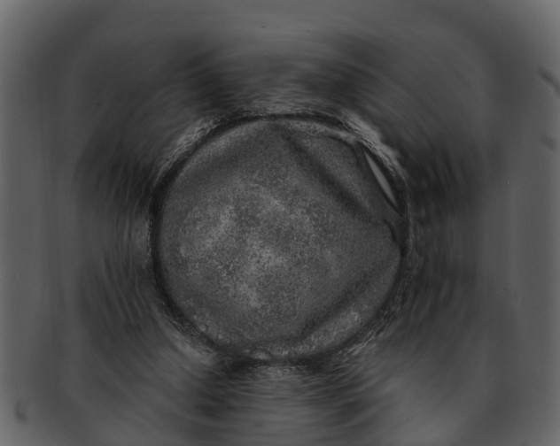 X0000093100250200710171207