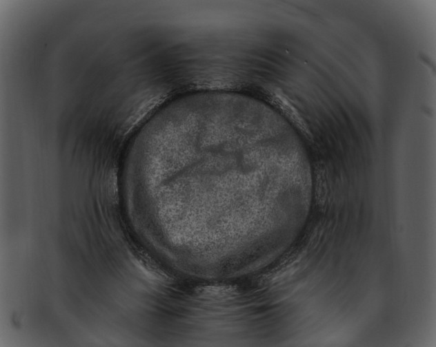 X0000093100251200710171207