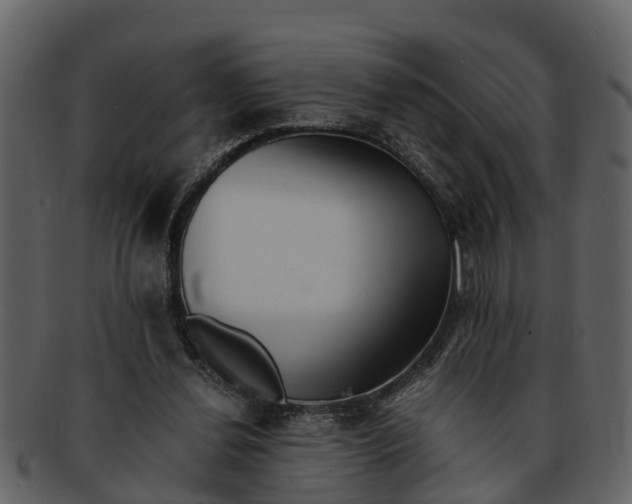 X0000093100252200710171207