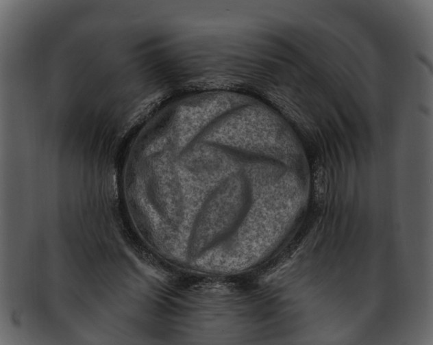 X0000093100254200710171207