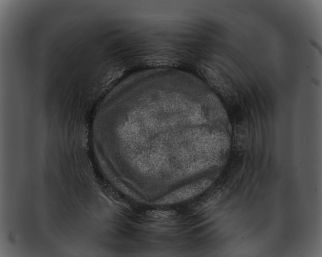 X0000093100255200710171207