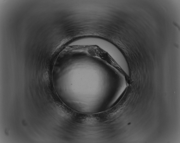 X0000093100256200710171207