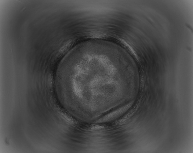 X0000093100257200710171207