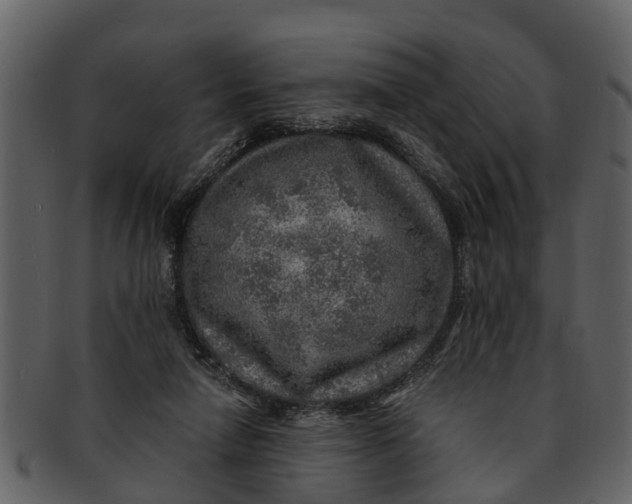 X0000093100258200710171207