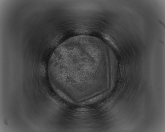 X0000093100259200710171207