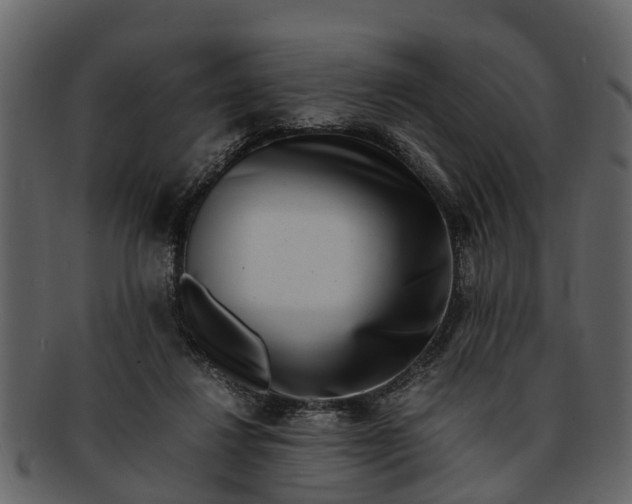 X0000093100260200710171207