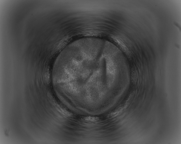 X0000093100261200710171207