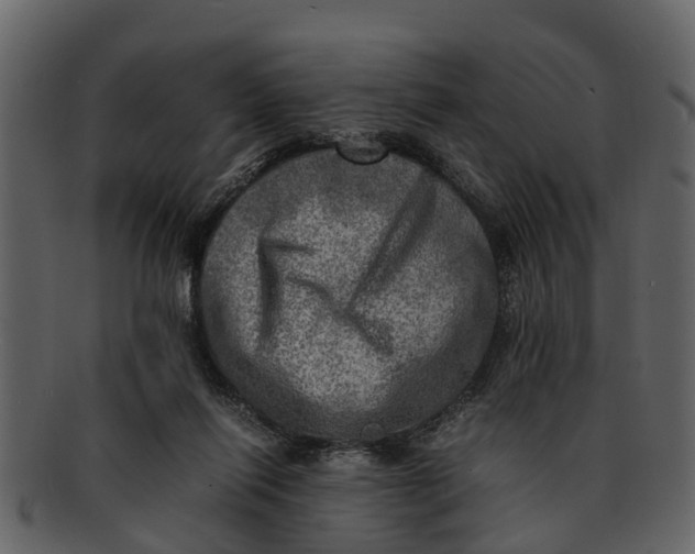 X0000093100262200710171207