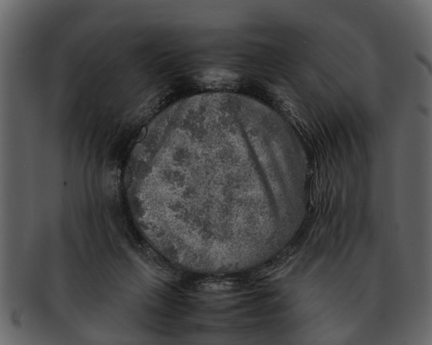 X0000093100263200710171207