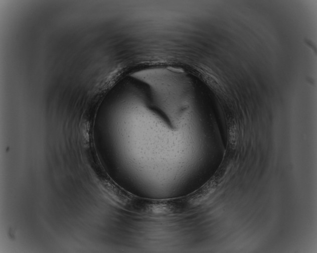 X0000093100264200710171207