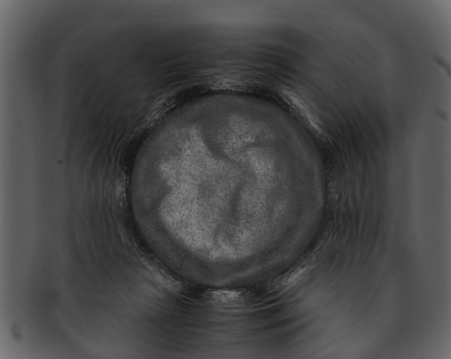 X0000093100265200710171207